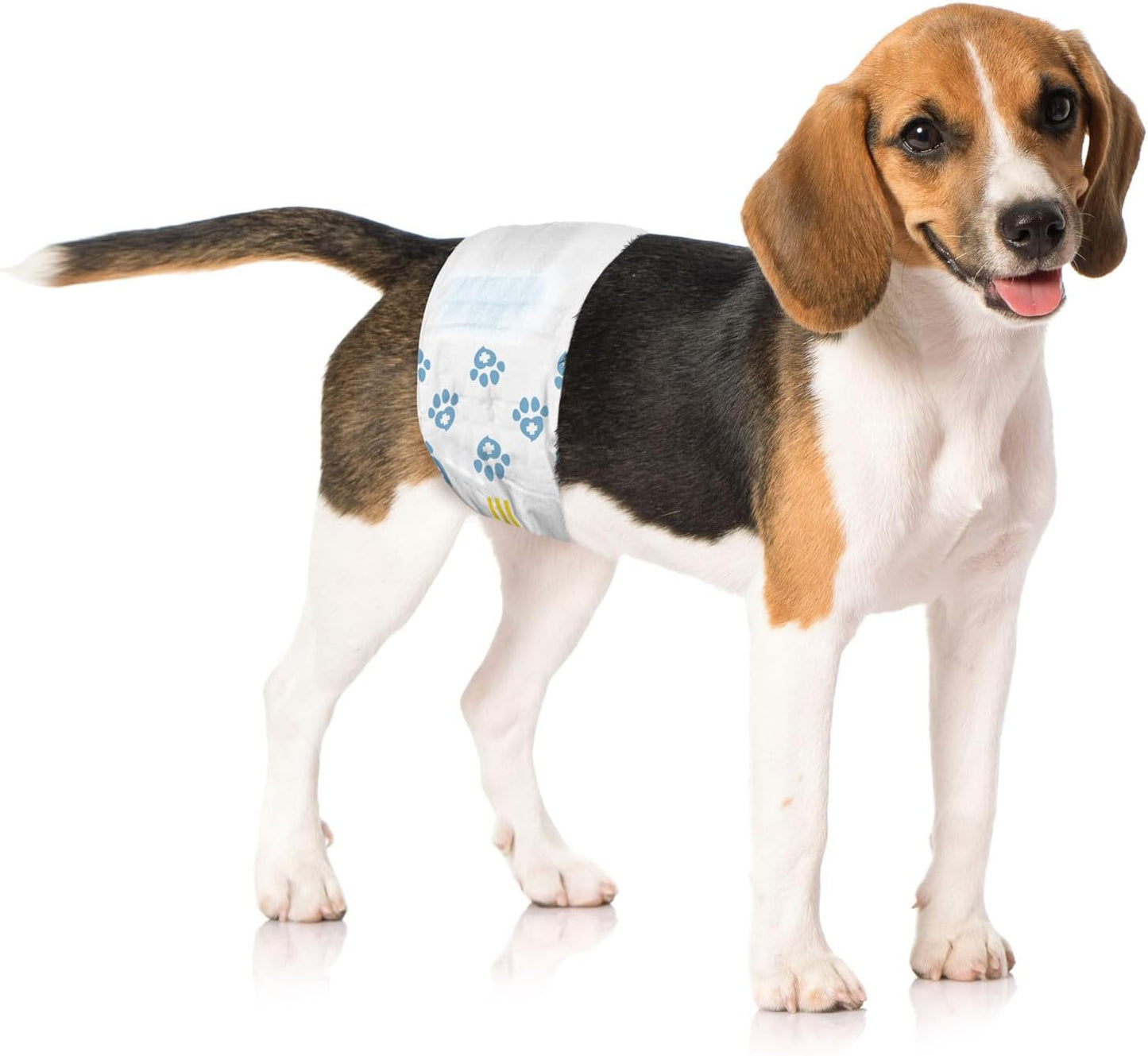 Disposable Male Dog Diapers, Medium Size, 144 Count - Snag-Free Fastener, Leak Protection, Wetness Indicator