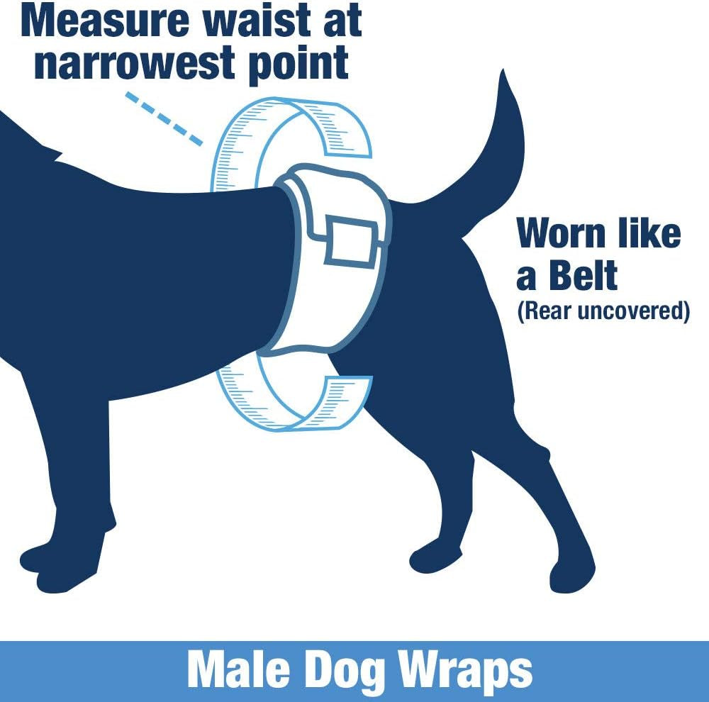 Disposable Male Dog Diapers, Medium Size, 144 Count - Snag-Free Fastener, Leak Protection, Wetness Indicator